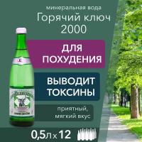 Вода Горячий Ключ 2000. Объем 0,5л*12. В стекле. Вода минеральная питьевая газированная природная целебная лечебная, выводит токсины, для детей