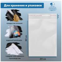 Пакеты фасовочные, размер 20х30 см, 100 шт, 100 уп. Пакет для продуктов