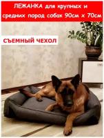 Лежанка для собак со съемным чехлом Alex for animals, для крупных и средних пород, для больших собак, размер L 90х70 см