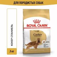 Корм для взрослых собак Royal Canin Cocker Adult (Кокер Эдалт) сухой для породы Кокер Спаниель от 12 месяцев, 3 кг