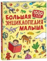 Большая энциклопедия малыша. 1000 слов / Клюшник Л.В