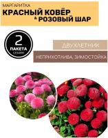 Цветы Маргаритка Красный ковер и Розовый шар 2 пакета по 0,05г семян