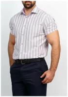 Рубашка мужская короткий рукав GREG Сиреневый 171/109/031/Z/1