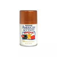 Эмаль Rust-Oleum American Accents Craft & Hobby Enamel металлик