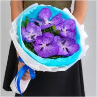 5 Синих Орхидей Ванда
