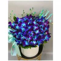 Букет, композиция цветов, коробка цветов из синих орхидей