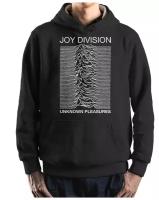 Толстовка / Худи Dream Shirts Joy Division - Unknown Pleasures Мужской