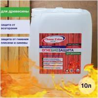 Огнебиозащита ThermoColor Wood 10 л, огнезащита, система противопожарной защиты, пропитка, защищать, защитный, огнеупорный, огнезащитная обработка