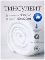 Тинсулейт не каландрированный Т300, 3см плотность,150х220 полотно для одеял, одежды, рулончик, наполнитель для кукол и игрушек, утеплитель ASTRASOFT