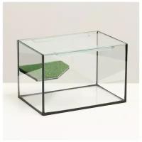 Террариум с покровным стеклом и мостиком 12 литров, 30х20х20 см