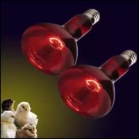 Лампа красная зеркальная икзк 250W E27 (упаковка 2 шт) Инфракрасная лампочка для обогрева курятника цыплят животных