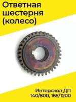 Колесо зубчатое (шестерня) ДП-165/1200 (95.03.03.04.00)