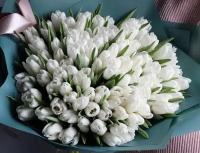 Букет Тюльпанов белых 101 шт, красивый букет цветов, шикарный, цветы премиум, тюльпаны