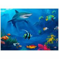 Постер А2 Акула, синее море, рыбки