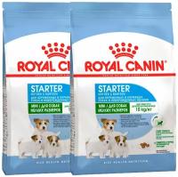 ROYAL CANIN MINI STARTER для щенков маленьких пород до 2 месяцев, беременных и кормящих сук (1 + 1 кг)