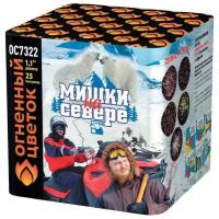 Фейерверк Огненный цветок Мишки на севере (1,1