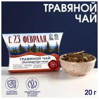 Чай травяной «С 23 февраля»: эхинацея, крапива, душица, тысячелистник, люцерна, 20 г