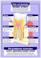 Стоматологический плакат 