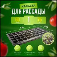 Прямоугольная кассета для рассады 50 ячеек по 75 мл - 1 штука / Ящик для рассады / Проращиватель семян