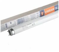 Лампа люминесцентная L 36W/765 36Вт T8 6500К G13 смол. OSRAM 4008321959836 (упаковка 10 шт)