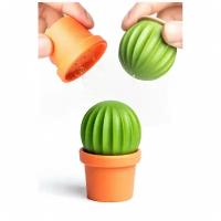 Набор для специй cactus