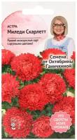 Семена астры Октябрины Ганичкиной Миледи скарлетт 0,1 г