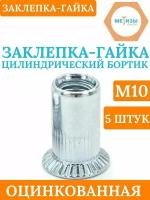 Заклепка-гайка М10 с цилиндрическим бортиком, цинк, 5шт