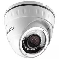 IP камера Ginzzu HID-2031S