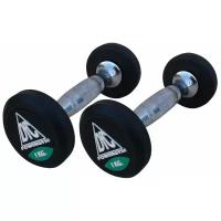 Набор гантелей неразборных DFC Powergym DB002 2х1 кг