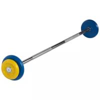 Набор спортивных штанг MB Barbell неразборная MB-BarMW-C