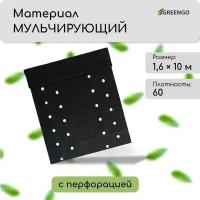 Материал мульчирующий, 10 × 1.6 м, плотность 60 г/м², с УФ-стабилизатором, четыре ряда перфорации, чёрный