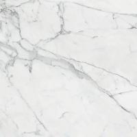 Marble Trend Керамогранит K-1000/LR/60x60x10/S1 Carrara
