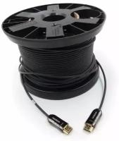 InAkustik Exzellenz HDMI 2.0 OPTICAL FIBER CABLE, 20.0 m, 009241020