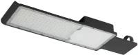 ЭРА Уличный консольный светильник ЭРА SPP-502-0-50K-120