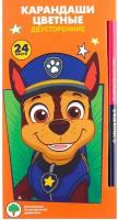 Карандаши цветные 24 цвета, двухсторонние, трёхгранные, PAW PATROL