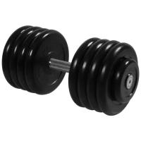 Гантель неразборная MB Barbell MB-FdbM-B43.5 43.5 кг