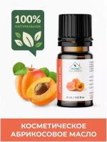 Масло абрикосовой косточки (APRICOT OIL), косметическое, премиум, 100% натуральное