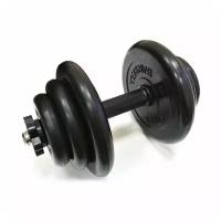 Гантели разборные 1 шт по 19 кг MB Barbell Atlet черный