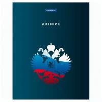 Дневник 5-11 класс, 48 л твердый, BRAUBERG, глянцевая ламинация, с подсказом, 