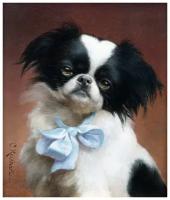 Репродукция на холсте Японский хин (Japanese Chin) Райхерт Карл 50см. x 59см