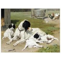 Постер на холсте Собака и щенки (Dog and Puppy) №2 54см. x 40см
