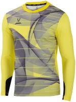 Свитер вратарский DIVISION PerFormDRY GK Pattern LS