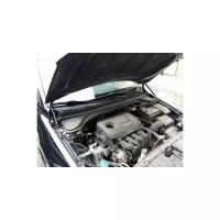 Амортизатор (упор) капота на Hyundai Elantra 12-09