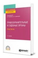 Правоохранительные и судебные органы. Практикум