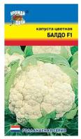 Семена Урожай удачи Голландская серия Капуста цветная Балдо F1 10 шт