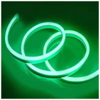 Неоновая светодиодная лента DLED 1м, 8х16мм, 220V AC, 120 LED/m, IP 67, гибкий неон, зеленый
