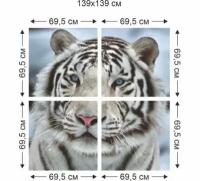 Фотообои симфония Бенгальский тигр 1,47х1,4 м