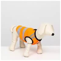 Светоотражающий жилет для собак, размер 14 (ДС 32 см, ОГ 42 см, ОШ 31 см), оранжевый