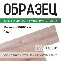 SPC ламинат Evofloor Optima Click - Груша Капучино - образец