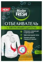 Master Fresh Отбеливатель пятновыводитель 70г